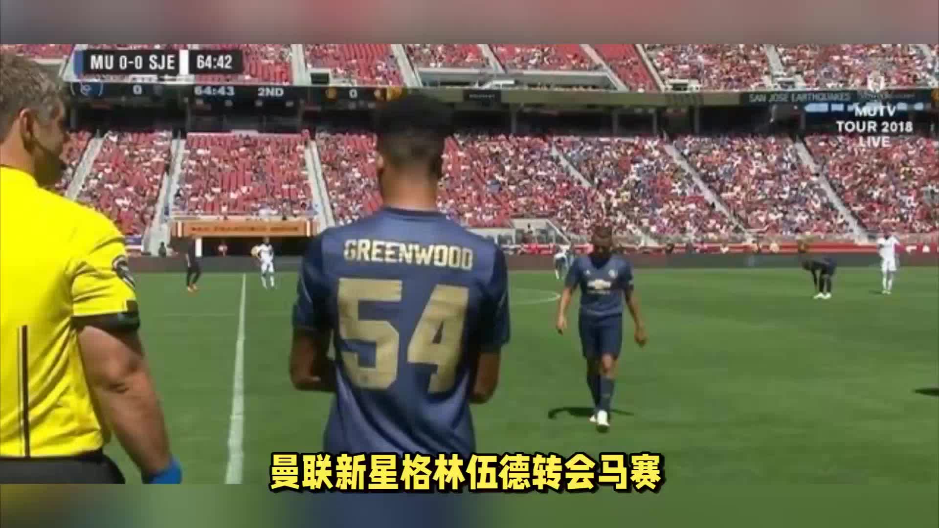 实力所
